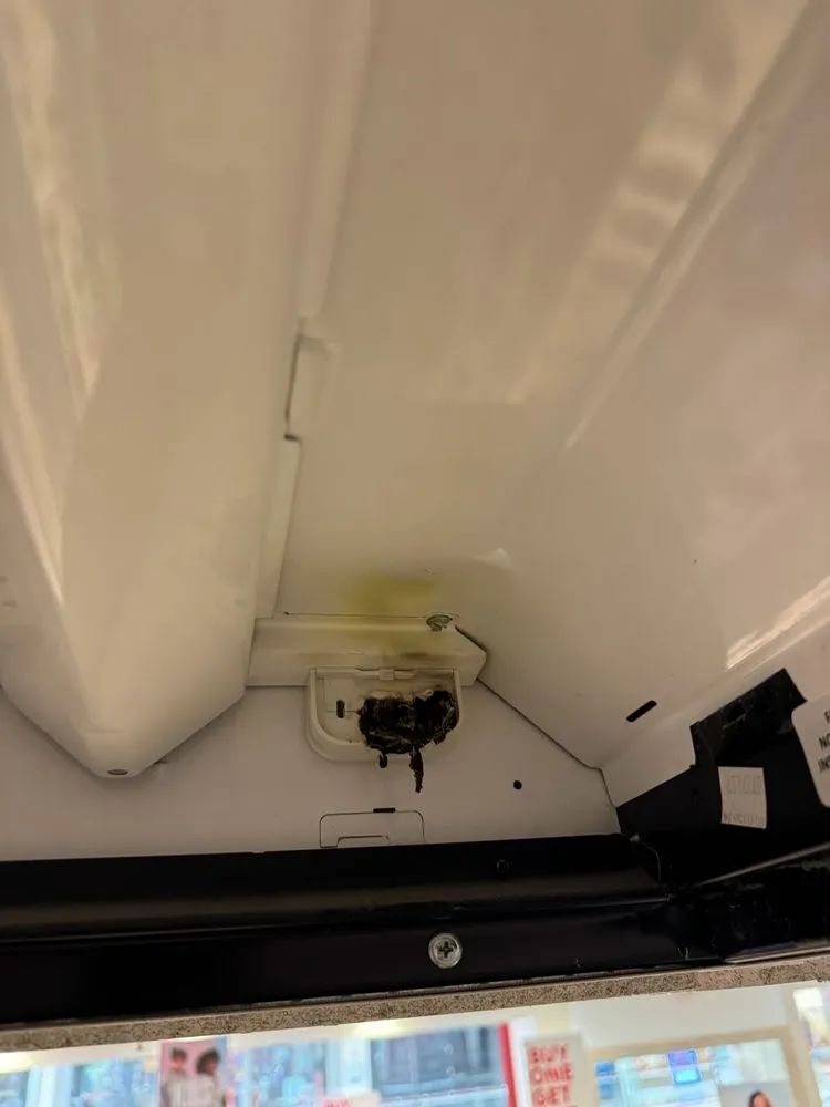 Licensed electrician providing electrical repair in , 