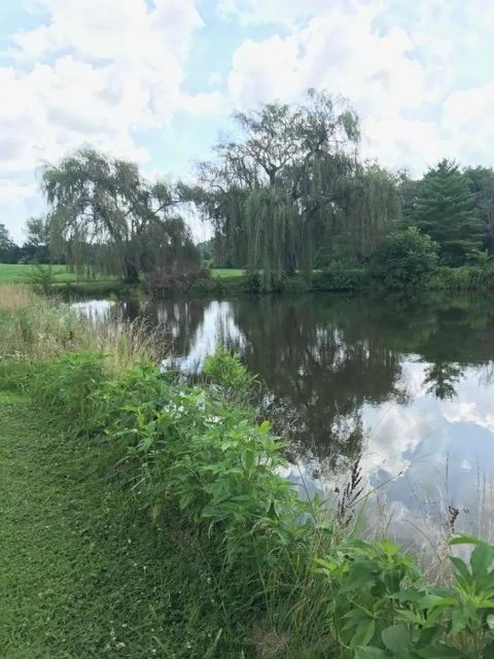 Slide of American Homespec