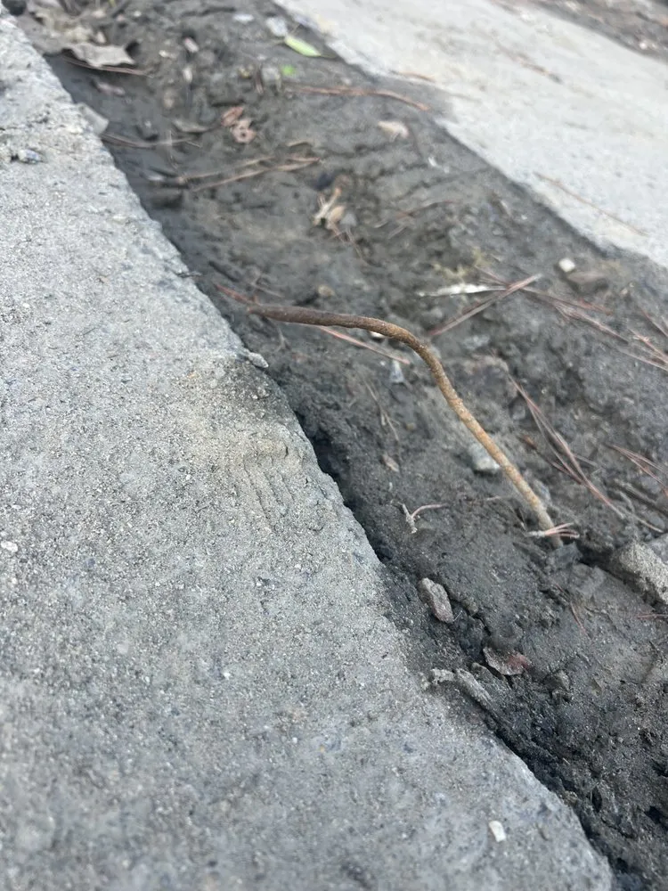 Slide of American Mechanical