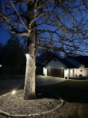 American Standard Electric