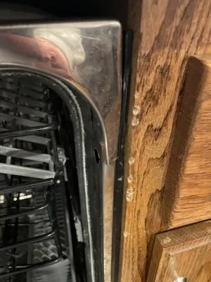 America's Same Day Service Logo