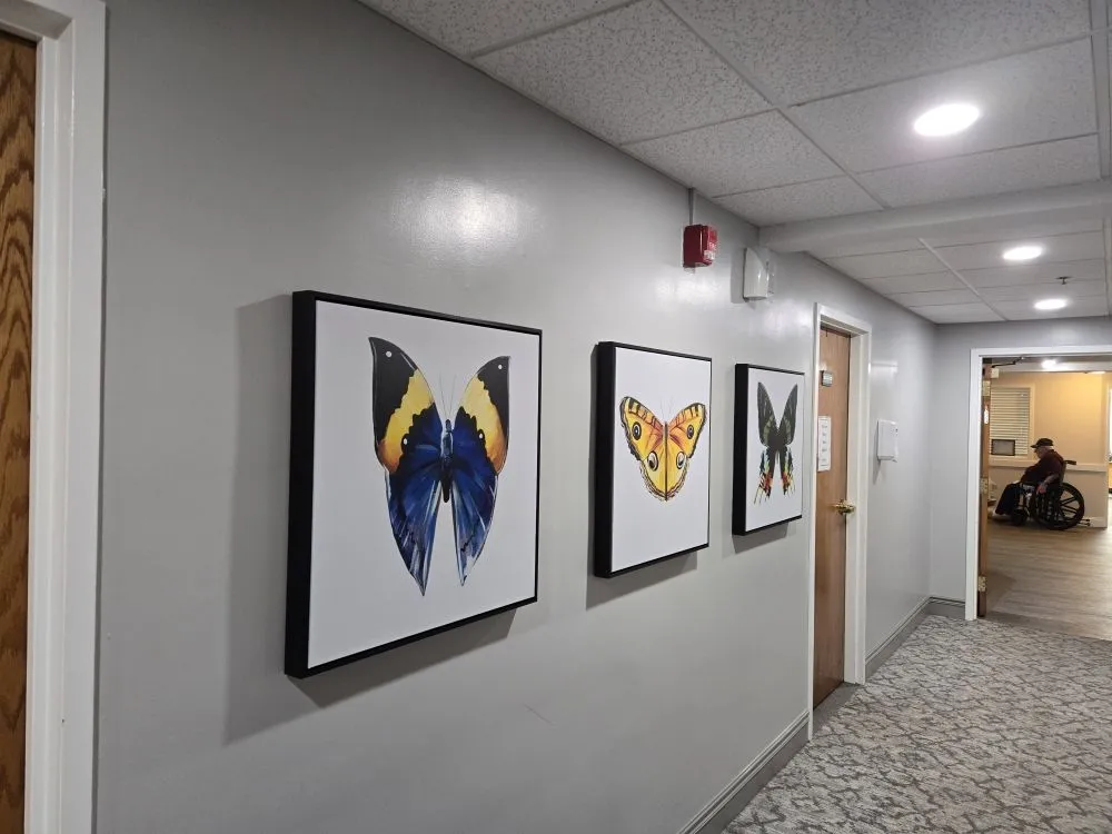 Slide of Amine's Handyman Services