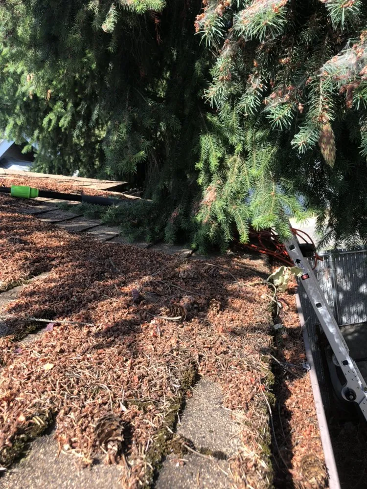 Certified emergency electrical service service in ,  - Amine's Handyman Services