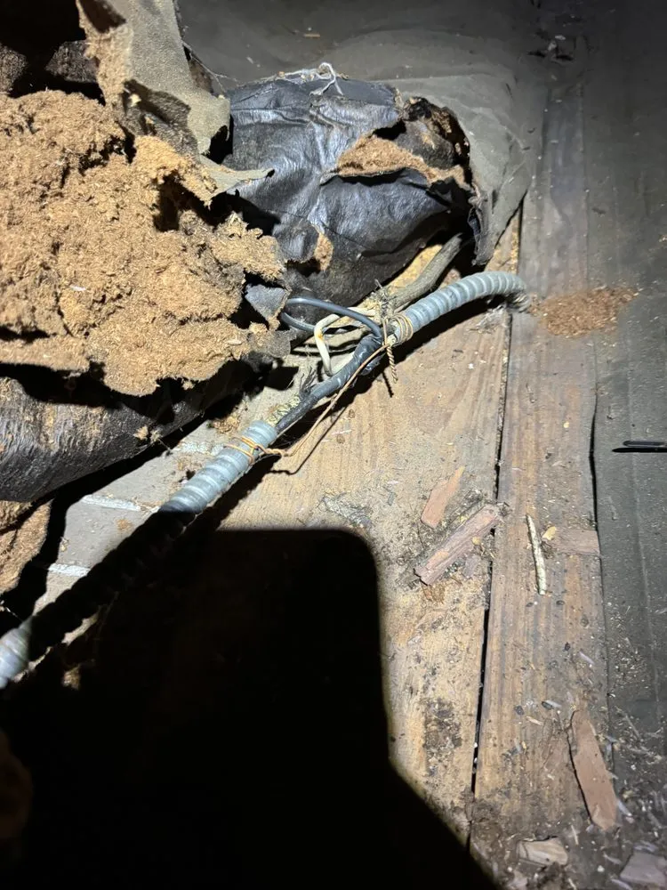 Slide of Amped Up Electric