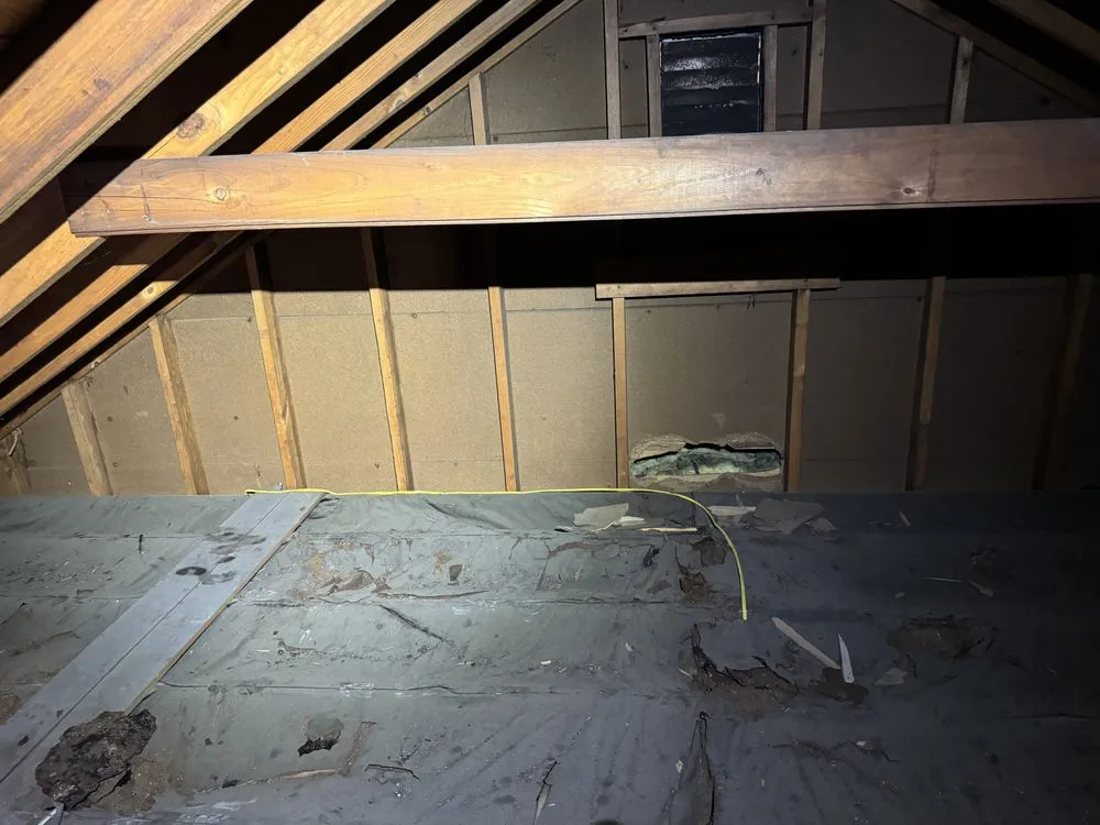 Slide of Amped Up Electric