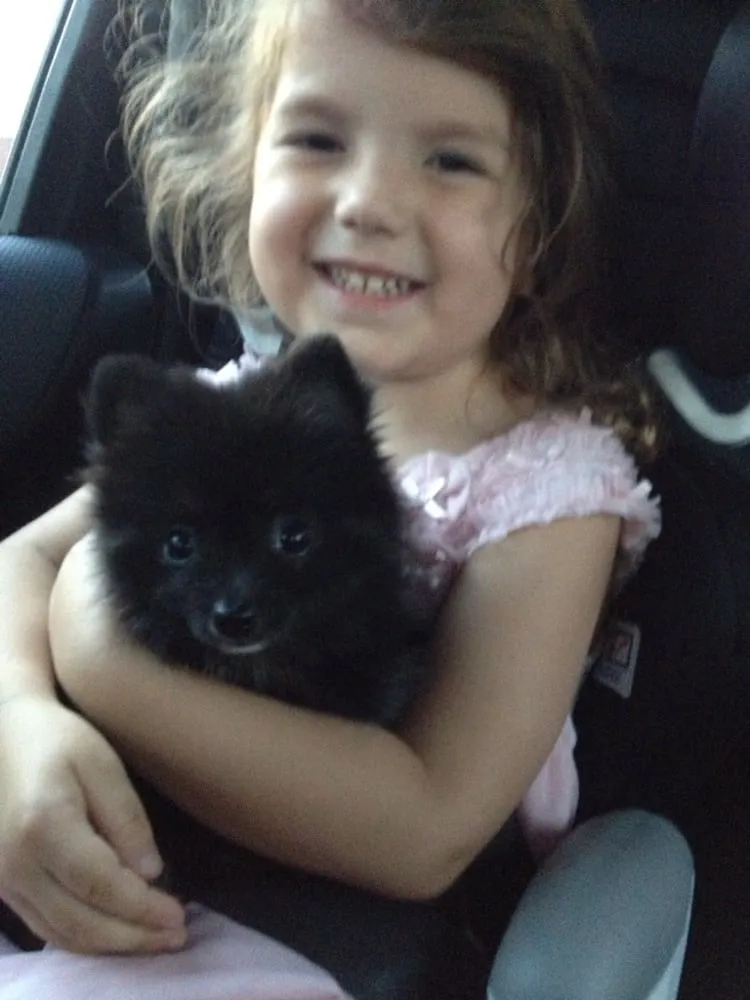 Slide of Ampology Electrical Services