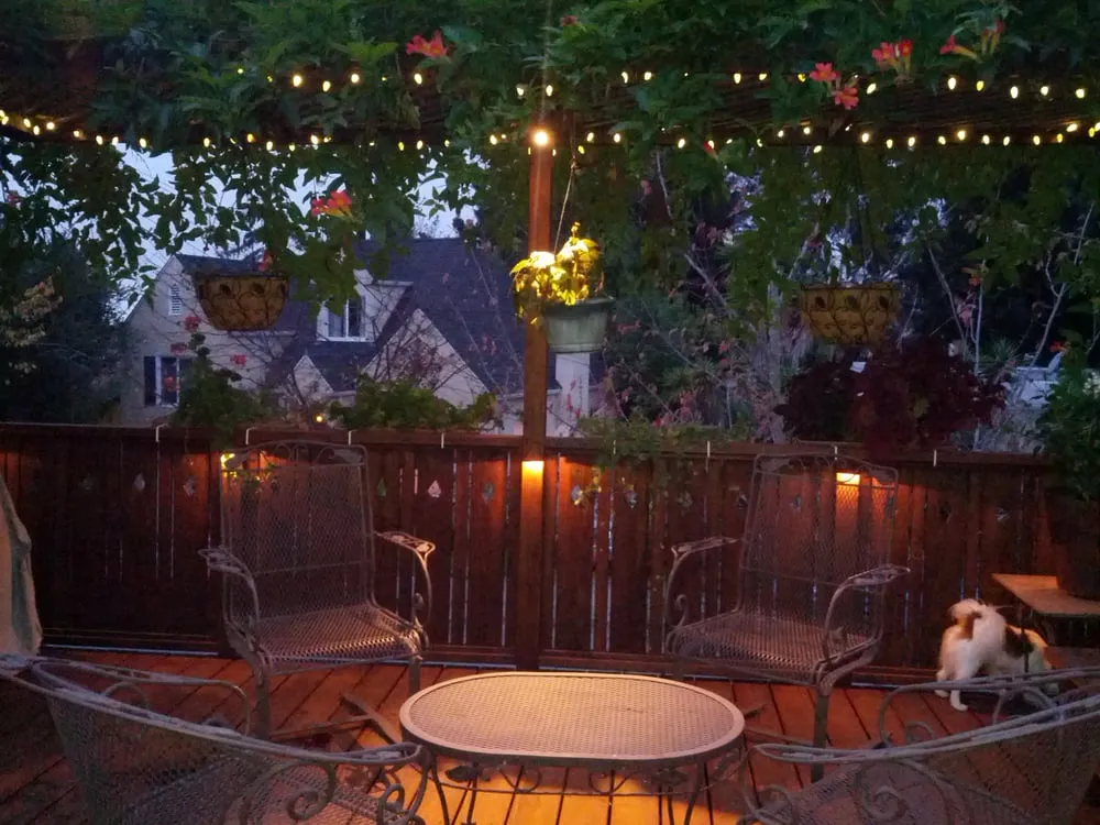 Slide of AMZ Electric