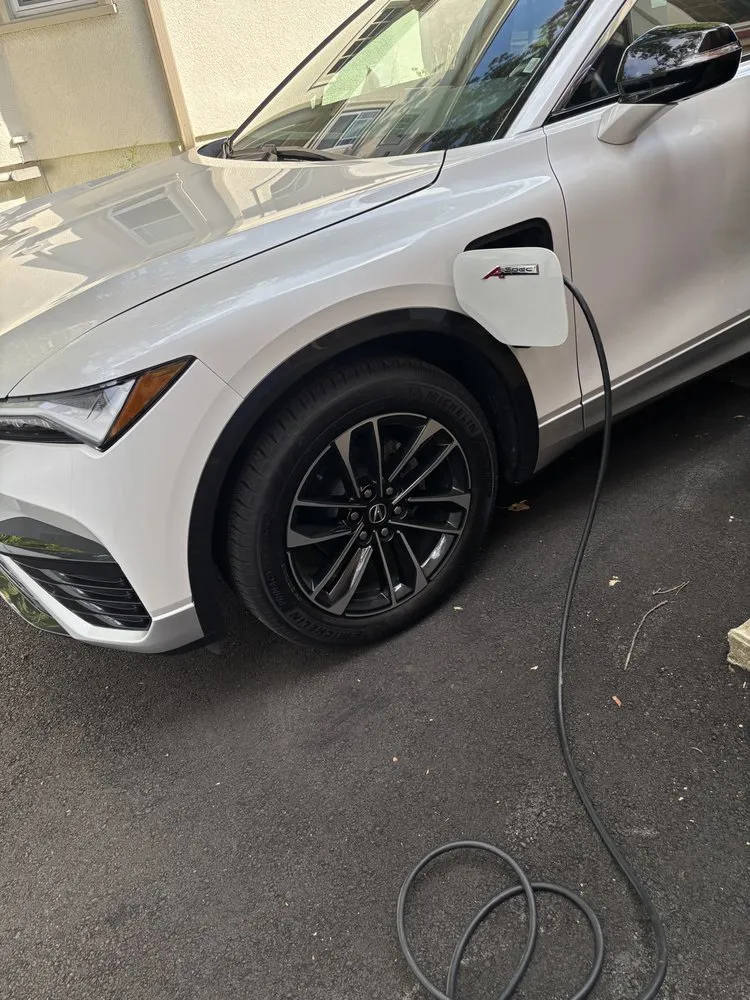 Slide of Andelis technician