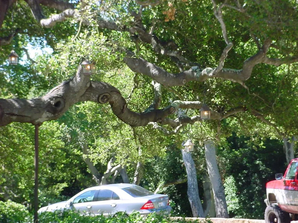 Slide of Anderson and Sons Electric