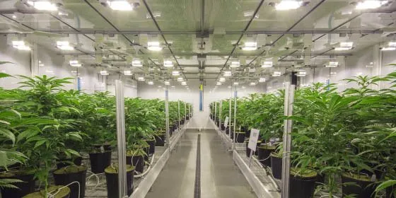 Emergency lighting installation service in , - Anderson Electric