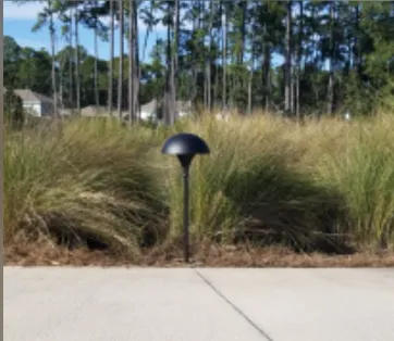 Slide of Andreu & Current Electric