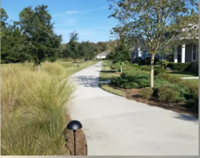 Slide of Andreu & Current Electric