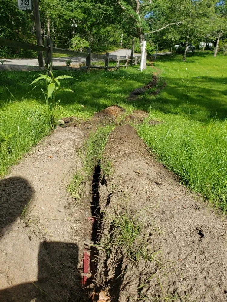 Slide of Andrew Curran Electric