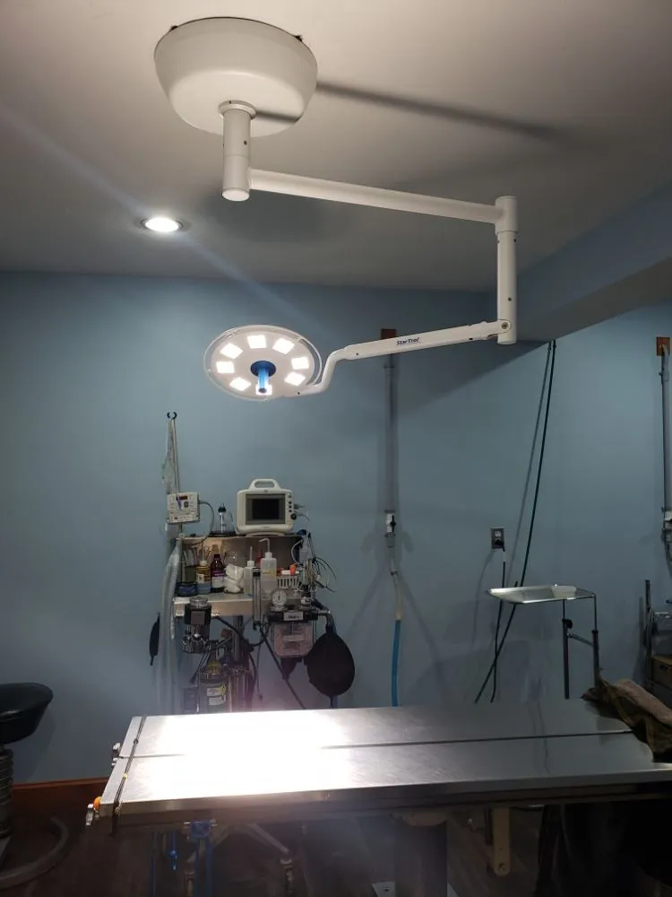 Emergency electrical service for homes in electrical repair,  by 