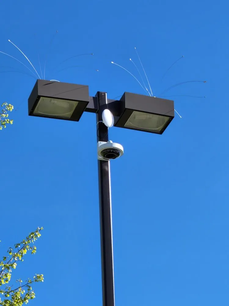 Slide of Andrew Jones Electric