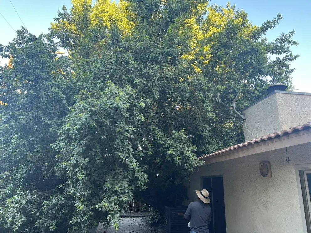 Slide of Angel’s Demolition Services