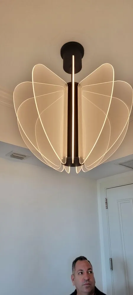 Slide of Angel,s electric