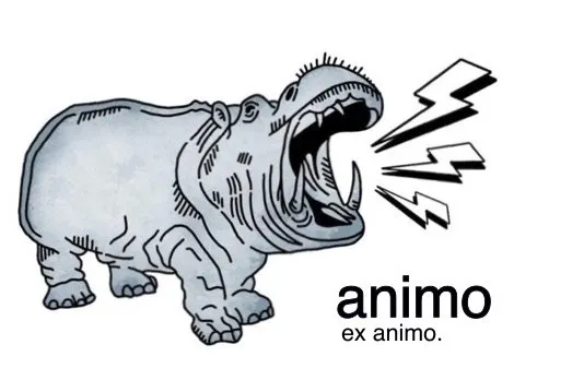 Animo Electric