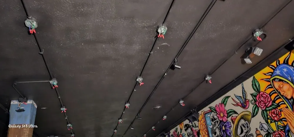 Slide of ANT Data & Electrical Services