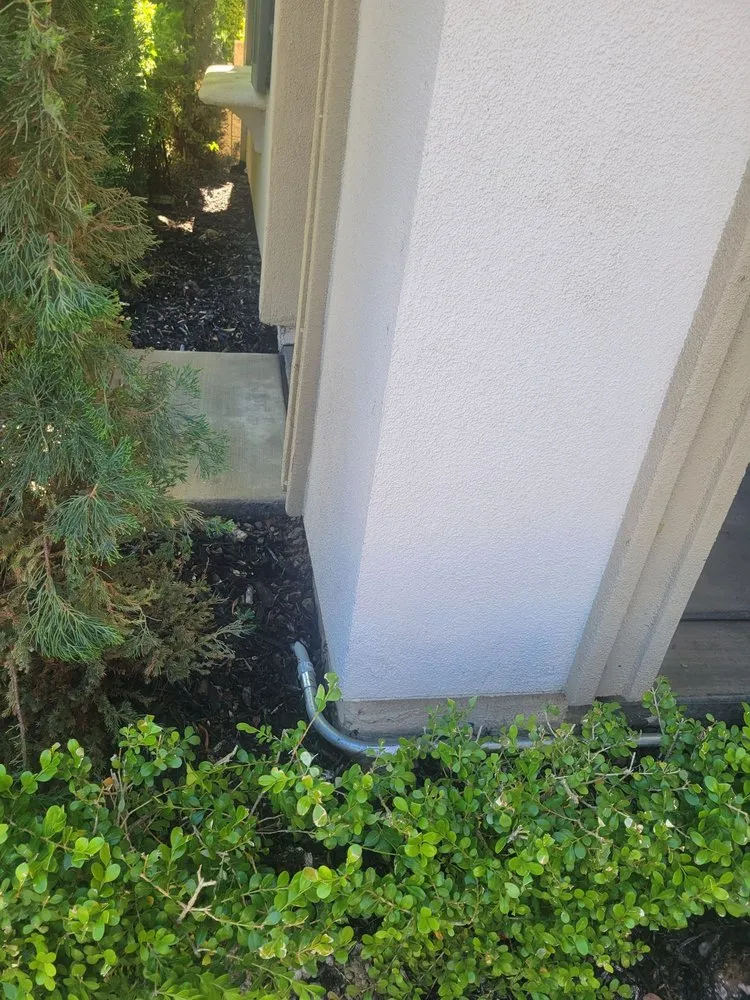 Slide of Anthony Sanchez Electric