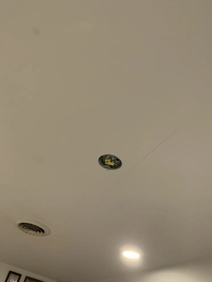 Slide of Anthony Vernon Electric