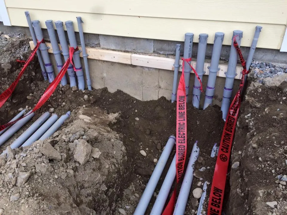 Slide of Antonio Cangianni