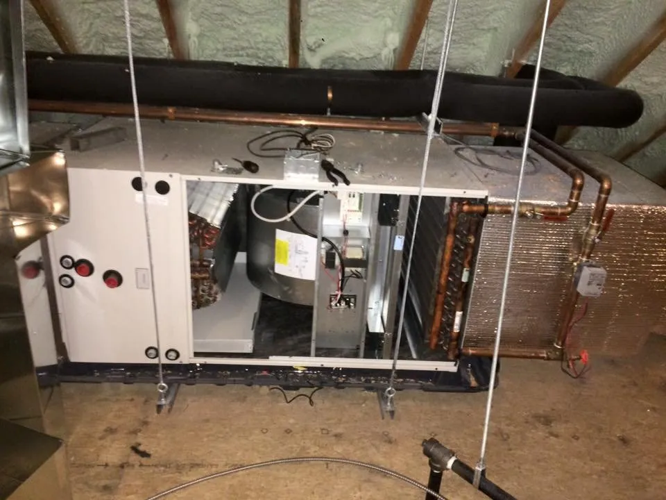 Slide of Antonio Cangianni