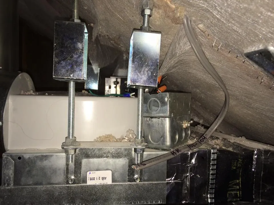 Slide of Antonio Cangianni