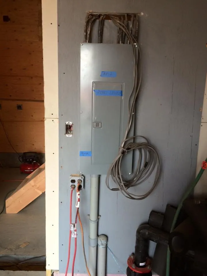 Slide of Antonio Cangianni