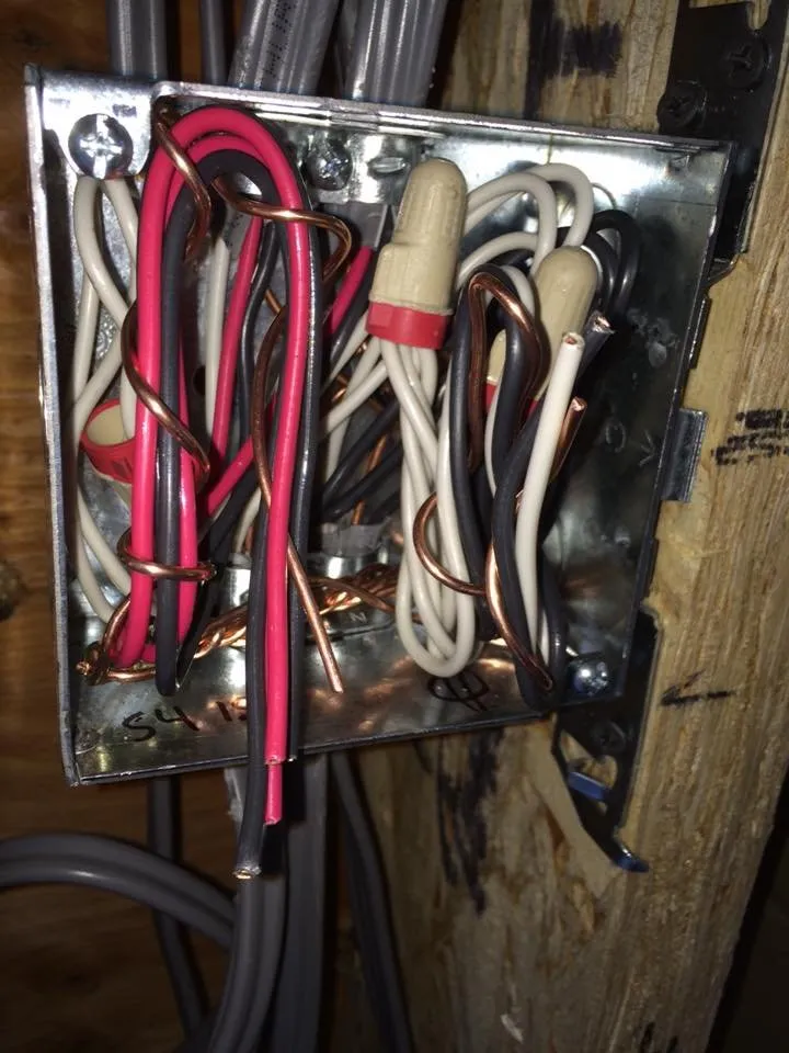 Slide of Antonio Cangianni