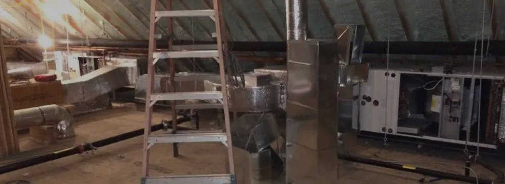 Slide of Antonio Cangianni