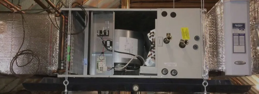 Slide of Antonio Cangianni