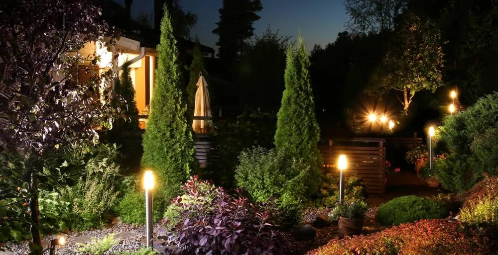 Slide of Antonio Cangianni