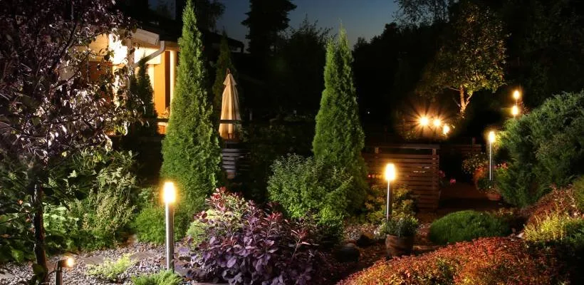 Slide of Antonio Cangianni