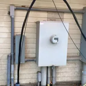 Slide of Antonio Cangianni