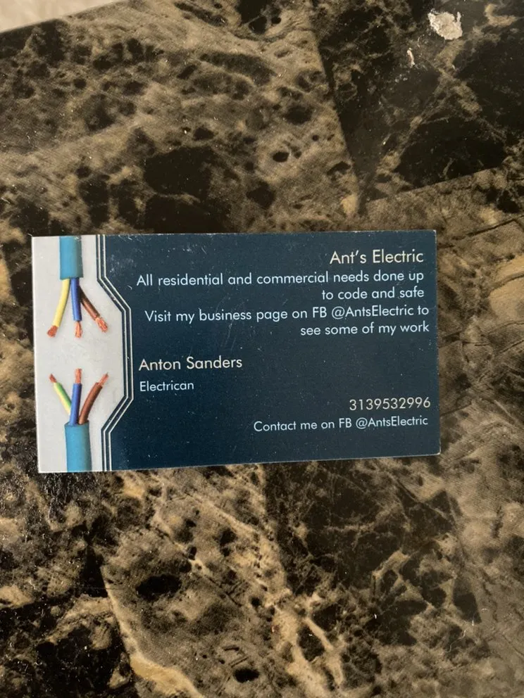 Slide of Ant’s Electric