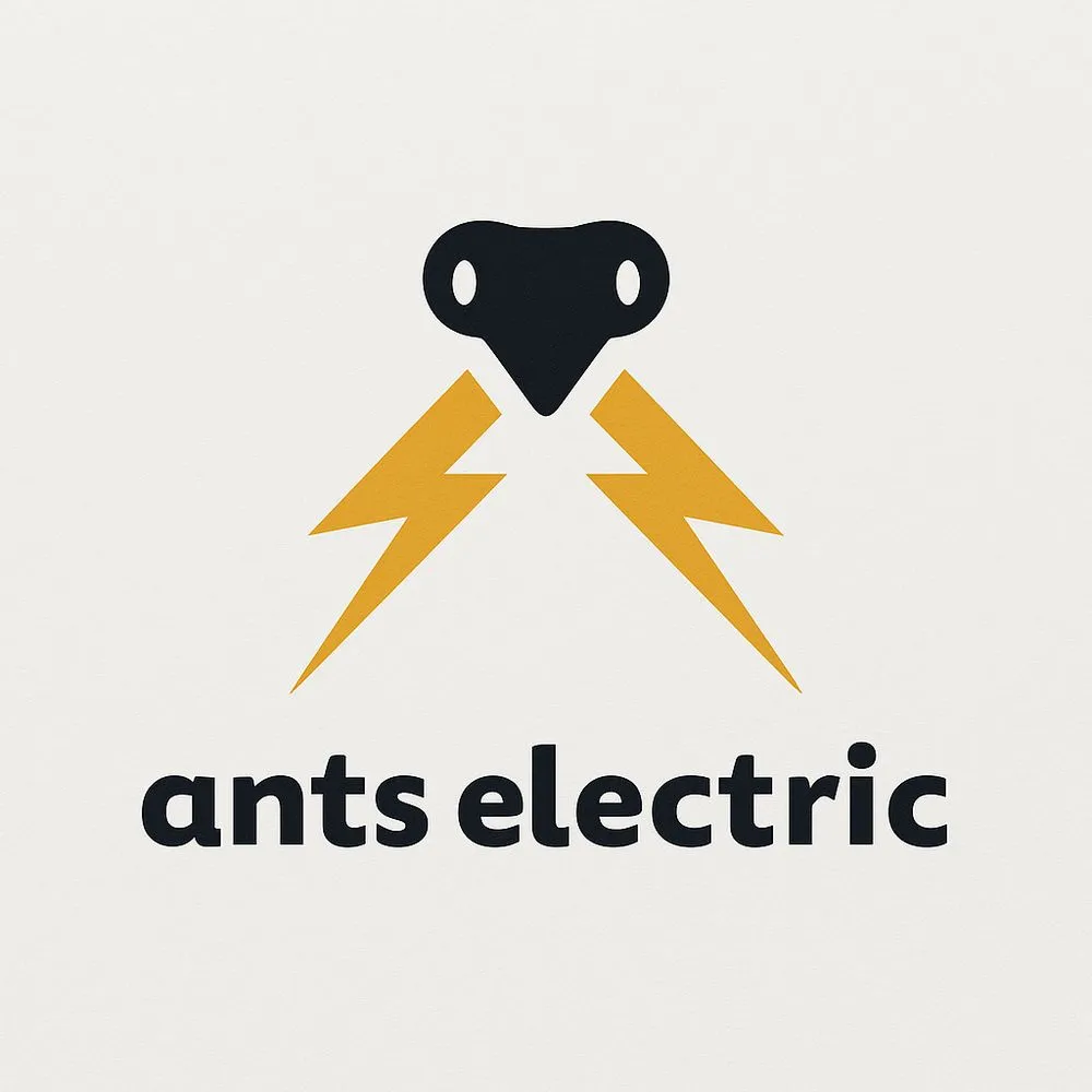 Slide of Ants Electric