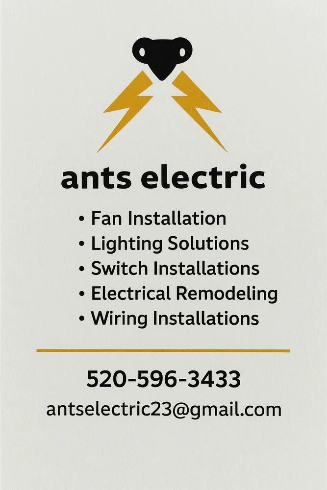 Slide of Ants Electric
