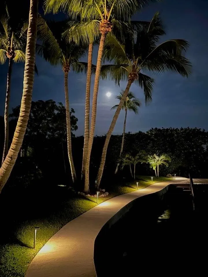 Slide of Anything Electric