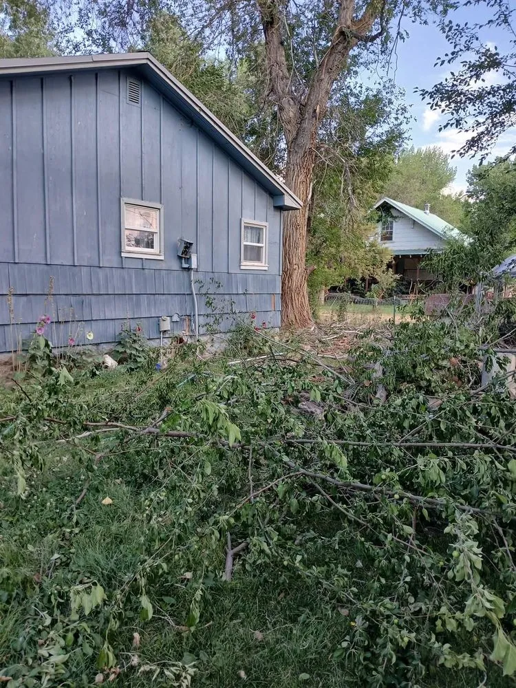 Slide of AP Electrical Services