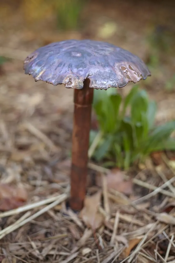 Slide of APEC Electrical Contractors