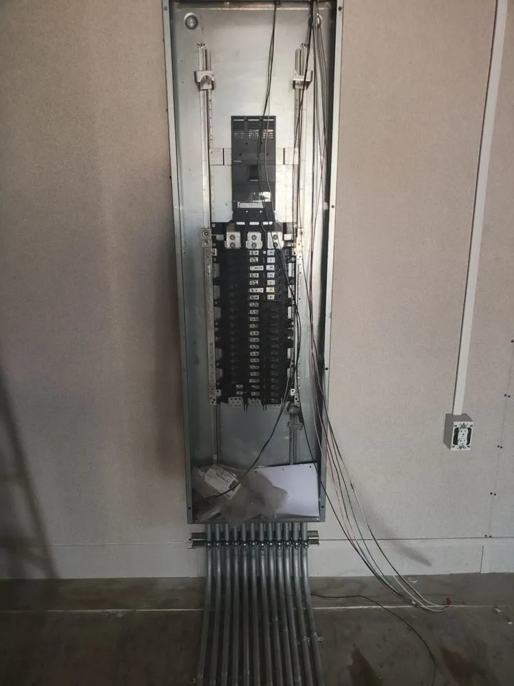 Slide of Apes 3lectric