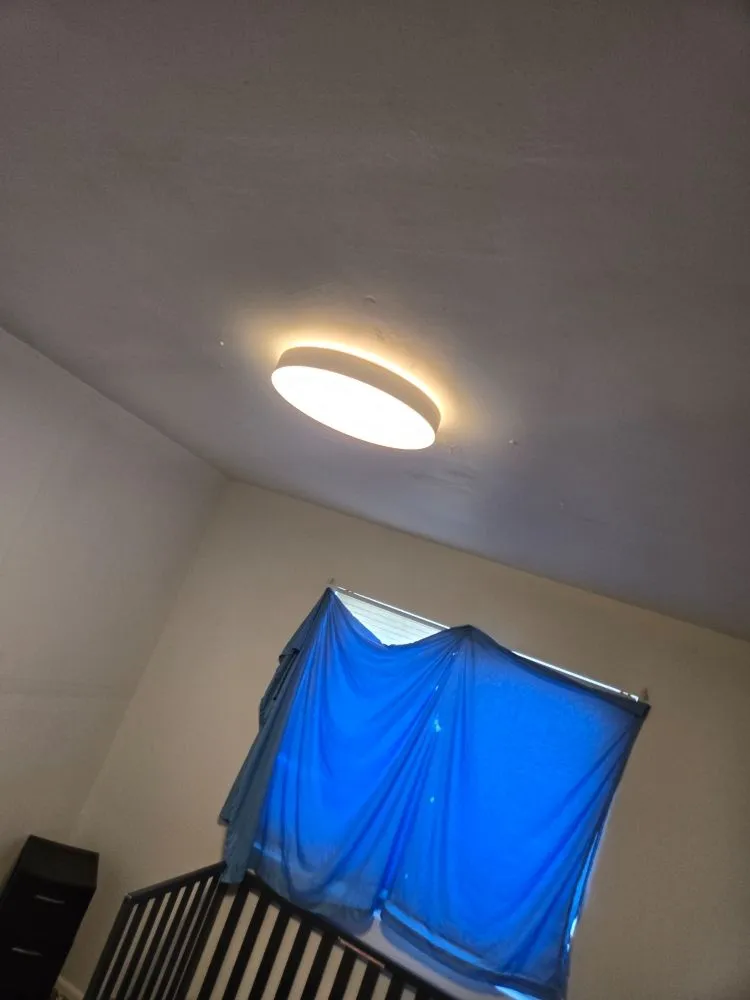 Slide of Apes 3lectric