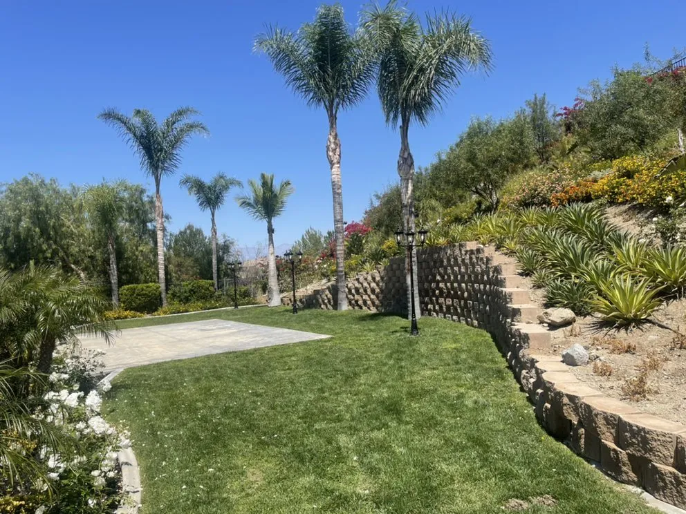 Slide of Apex Electric