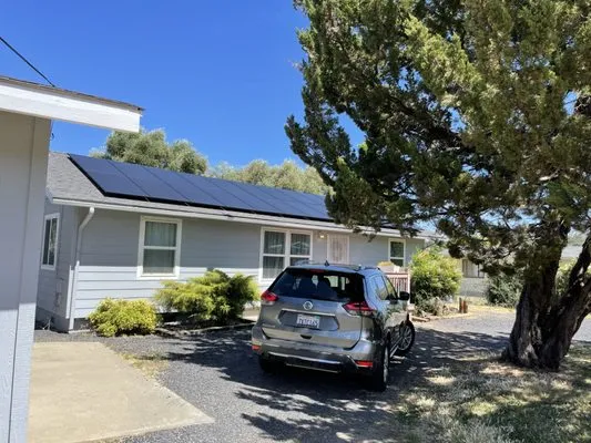 Apex Electrical Logo