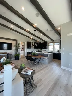 Apex Lighting & Electric Logo