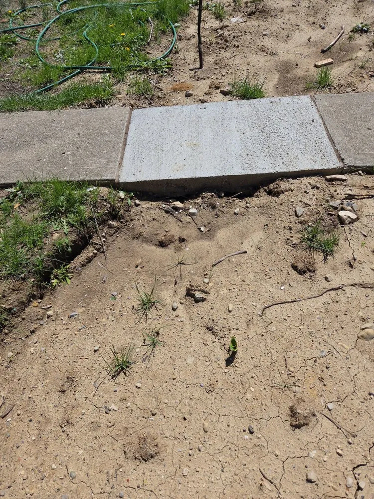 Emergency electrical service for homes in panel upgrade, by