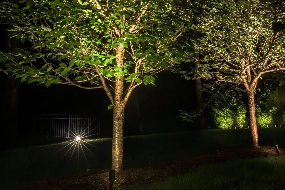 Slide of Apollo Outdoor Lighting