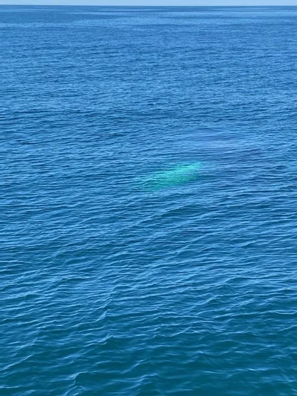 Slide of Appel Electric