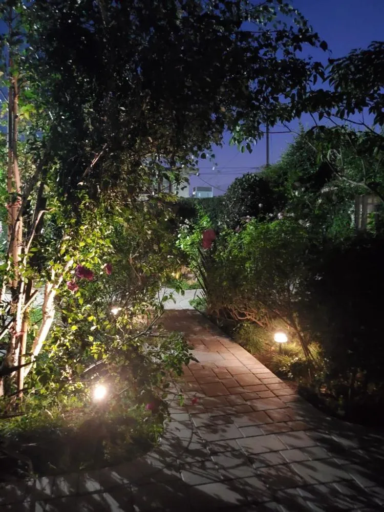 Slide of Apple Plus Electric